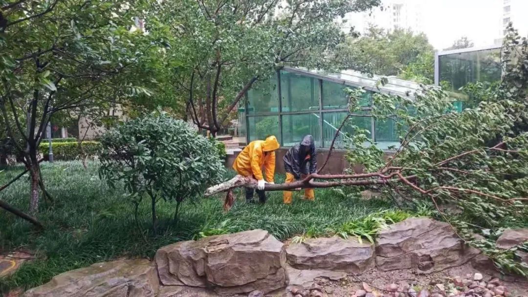 風雨中的堅守丨智慧物業(yè)事業(yè)部迎戰(zhàn)臺風“煙花”