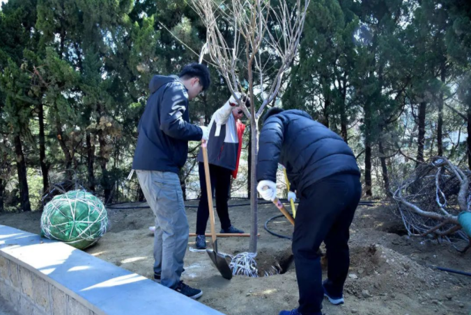 春風(fēng)十里，植下一片綠 | 瑞源控股集團(tuán)開展2023年植樹節(jié)系列活動(dòng)